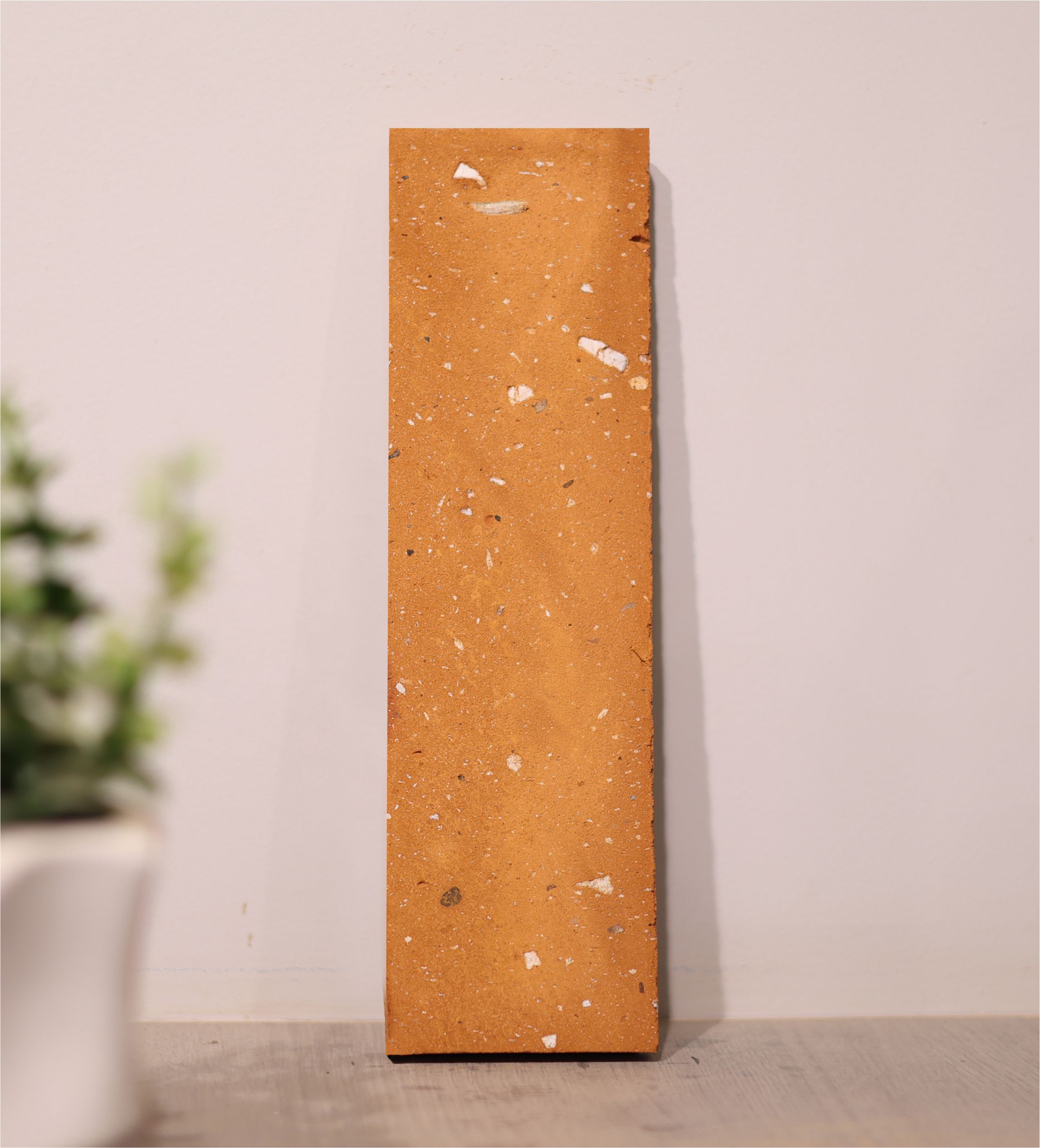 Mittiking Product Img-9